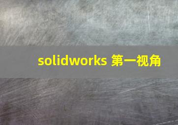 solidworks 第一视角